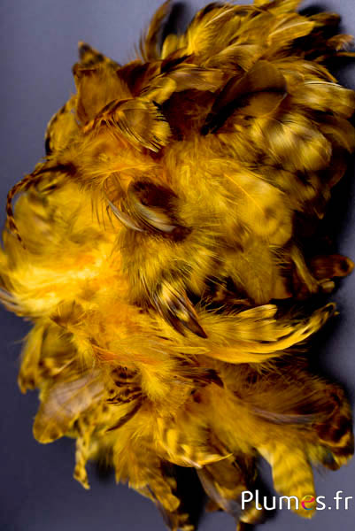 Gallina - 5-9 cm - giallo-bruno 
